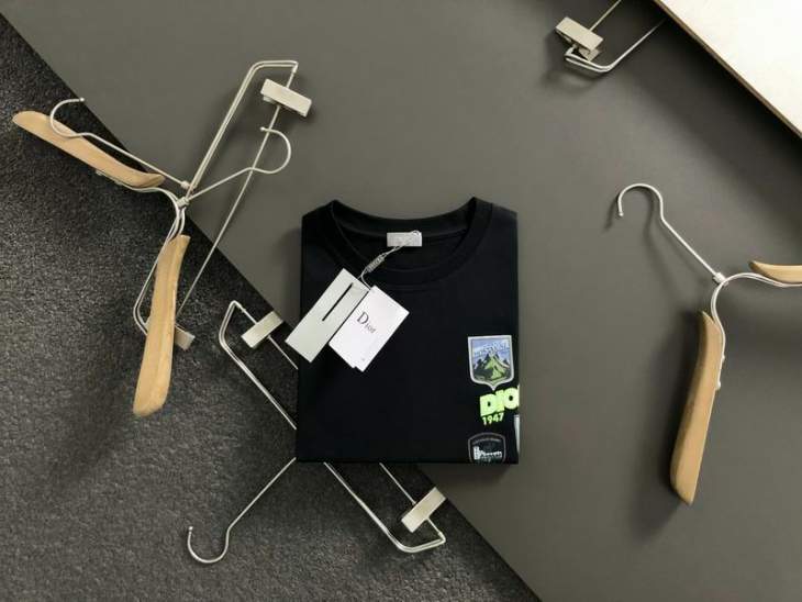 Picture of Dior T Shirts Short _SKUDiorS-2XLtltx8315969